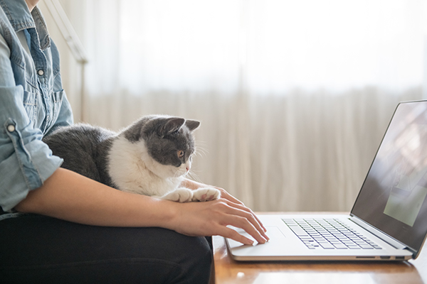 Teletherapy in Texas